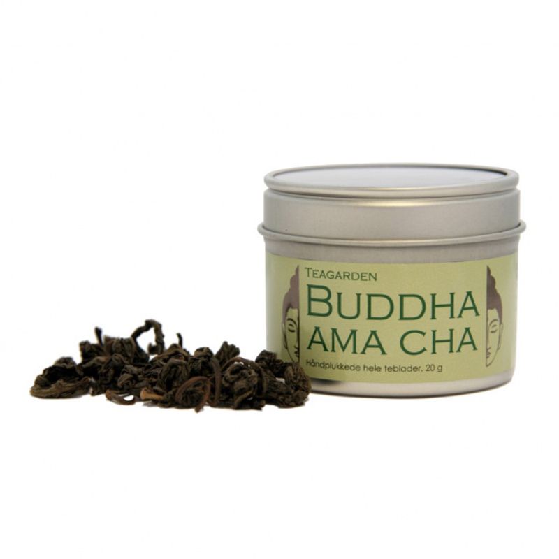 Buddha Ama Cha